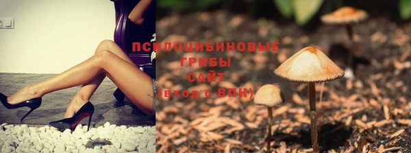 винт Арсеньев