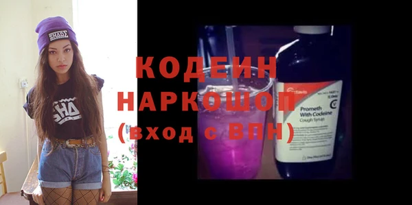 хмурый Алексин