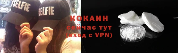 хмурый Алексин