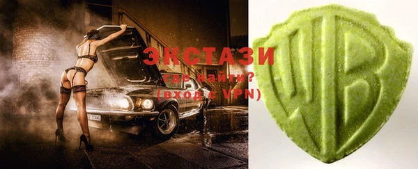 хмурый Алексин