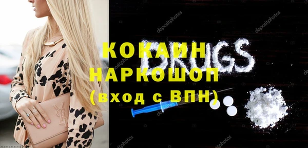 хмурый Алексин