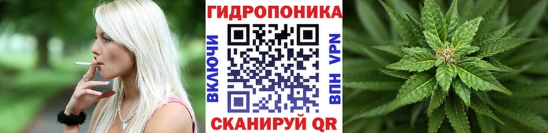 продажа наркотиков  нарко площадка какой сайт  Каннабис THC 21%  Можга 